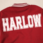 Personalized Puff Varsity Jacket Custom Name Front and Back for Kids